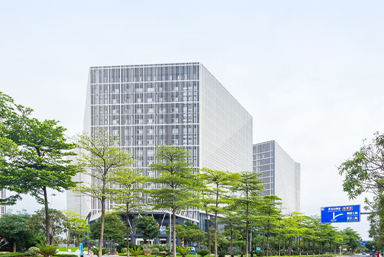 广东省广州市广州国际生物岛